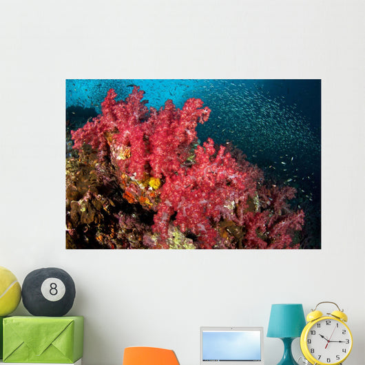 Soft Corals Richelieu Rock Wall Decal