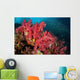 Soft Corals Richelieu Rock Wall Decal