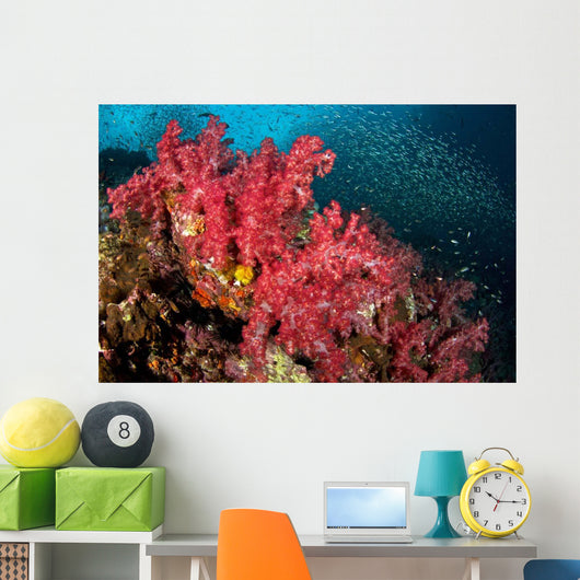 Soft Corals Richelieu Rock Wall Decal