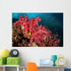 Soft Corals Richelieu Rock Wall Decal