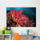 Soft Corals Richelieu Rock Wall Decal