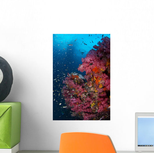 Vibrant Wall Covered Soft Wall Decal