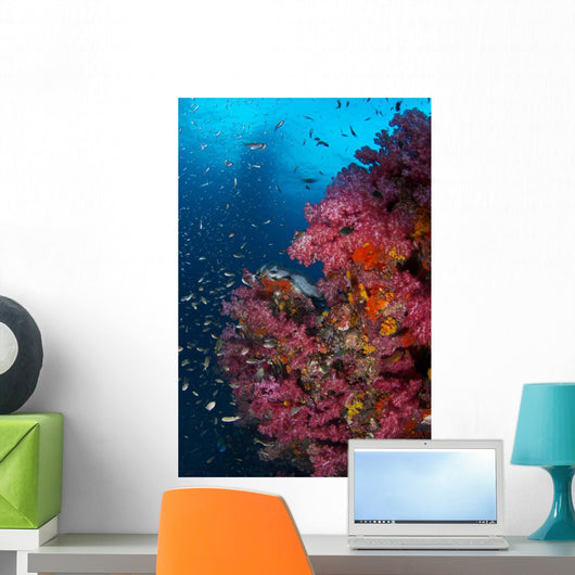 Vibrant Wall Covered Soft Wall Decal