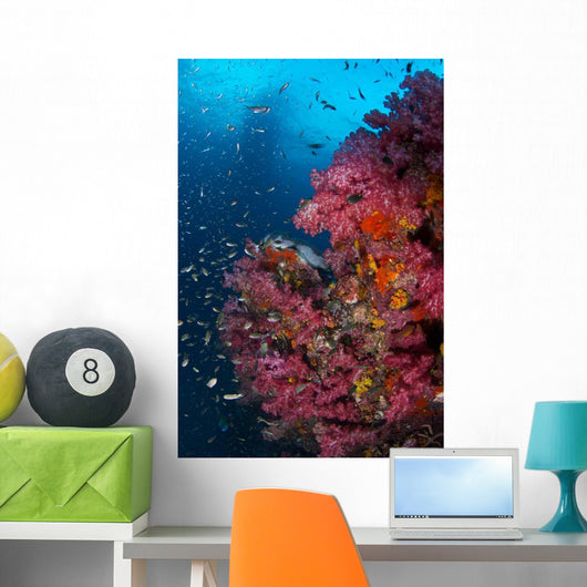 Vibrant Wall Covered Soft Wall Decal