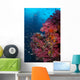 Vibrant Wall Covered Soft Wall Decal