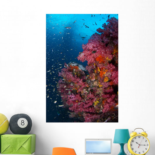 Vibrant Wall Covered Soft Wall Decal