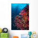 Vibrant Wall Covered Soft Wall Decal