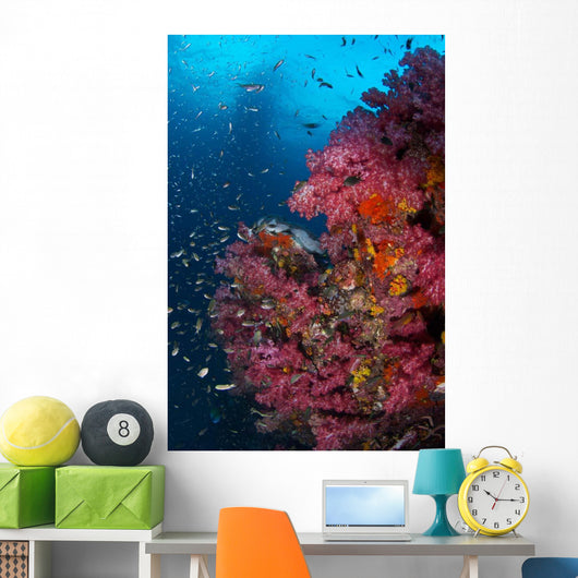 Vibrant Wall Covered Soft Wall Decal