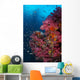 Vibrant Wall Covered Soft Wall Decal