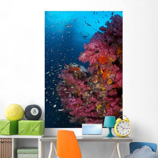 Vibrant Wall Covered Soft Wall Decal