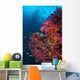 Vibrant Wall Covered Soft Wall Decal