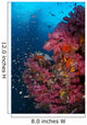 Vibrant Wall Covered Soft Wall Decal