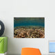 Shallow Coral Gardens Liquid Wall Decal