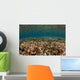 Shallow Coral Gardens Liquid Wall Decal
