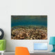 Shallow Coral Gardens Liquid Wall Decal