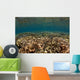 Shallow Coral Gardens Liquid Wall Decal