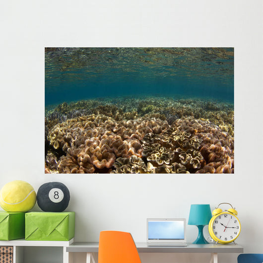 Shallow Coral Gardens Liquid Wall Decal