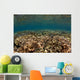 Shallow Coral Gardens Liquid Wall Decal