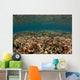 Shallow Coral Gardens Liquid Wall Decal