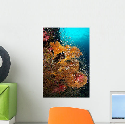 Vibrant Sea Fan Richelieu Wall Decal