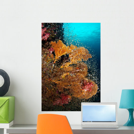 Vibrant Sea Fan Richelieu Wall Decal