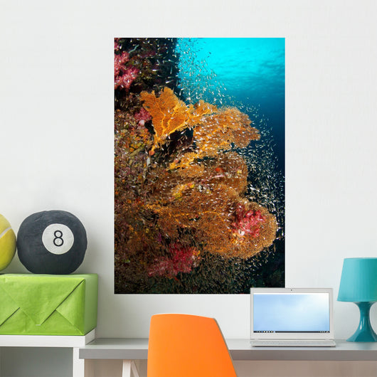 Vibrant Sea Fan Richelieu Wall Decal