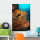 Vibrant Sea Fan Richelieu Wall Decal