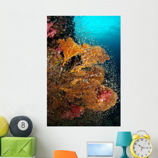 Vibrant Sea Fan Richelieu Wall Decal