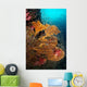 Vibrant Sea Fan Richelieu Wall Decal
