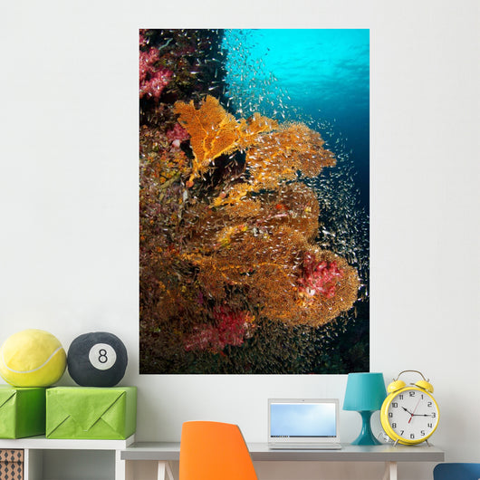 Vibrant Sea Fan Richelieu Wall Decal