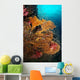 Vibrant Sea Fan Richelieu Wall Decal