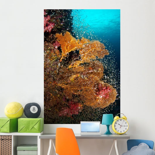 Vibrant Sea Fan Richelieu Wall Decal