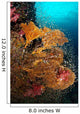 Vibrant Sea Fan Richelieu Wall Decal