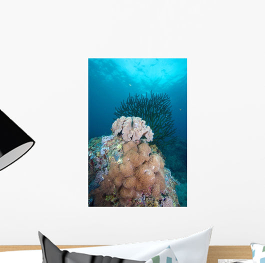 Black Sun Coral and Wall Decal Design 2