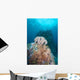 Black Sun Coral and Wall Decal Design 2