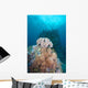 Black Sun Coral and Wall Decal Design 2