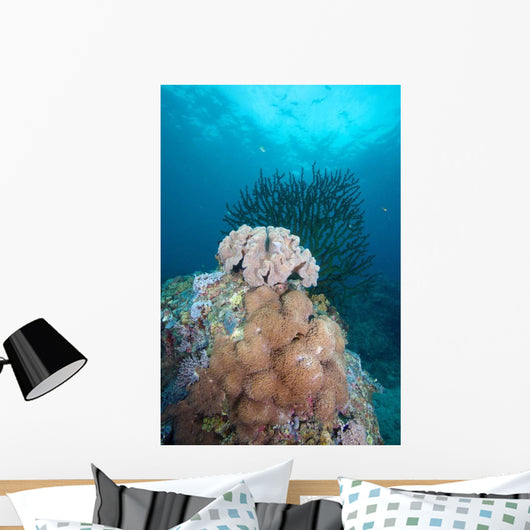 Black Sun Coral and Wall Decal Design 2