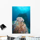 Black Sun Coral and Wall Decal Design 2