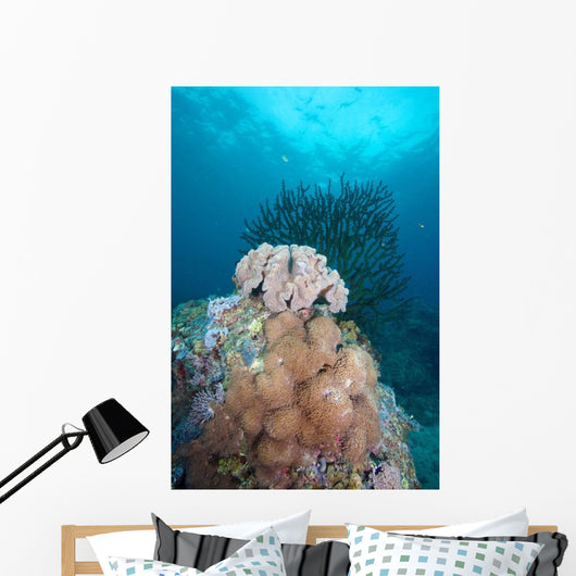 Black Sun Coral and Wall Decal Design 2