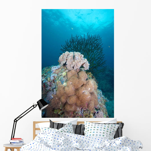 Black Sun Coral and Wall Decal Design 2