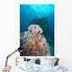Black Sun Coral and Wall Decal Design 2