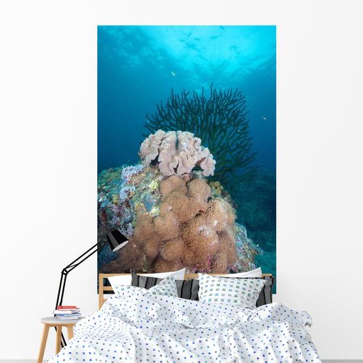 Black Sun Coral and Wall Decal Design 2
