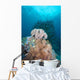 Black Sun Coral and Wall Decal Design 2