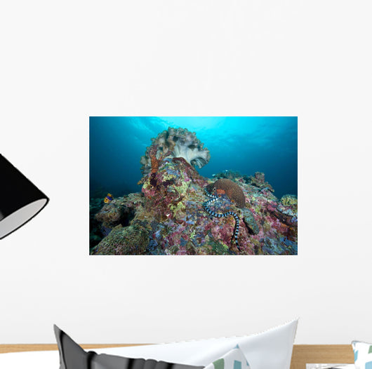 Banded Sea Krait Napantao Wall Decal