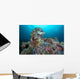 Banded Sea Krait Napantao Wall Decal