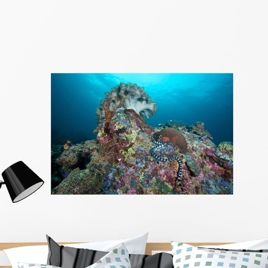 Banded Sea Krait Napantao Wall Decal
