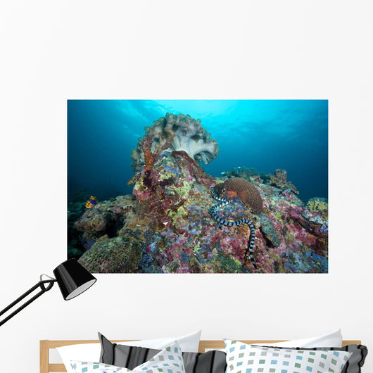 Banded Sea Krait Napantao Wall Decal