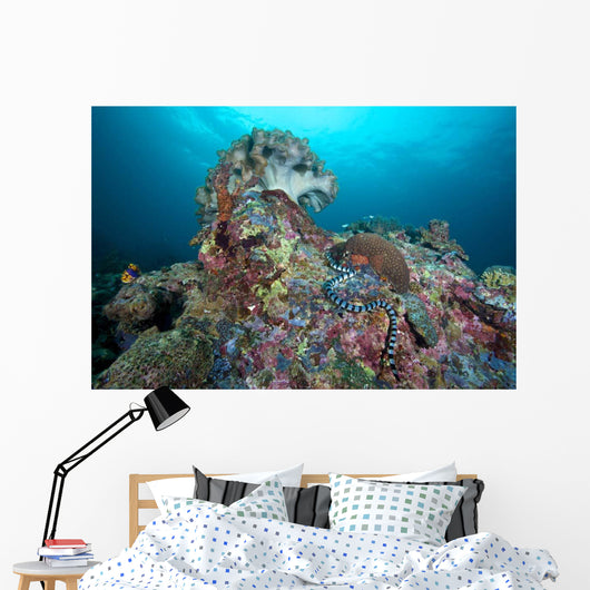 Banded Sea Krait Napantao Wall Decal