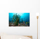 Black Sun Coral Limasawa Wall Decal Design 3