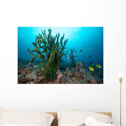Black Sun Coral Limasawa Wall Decal Design 3